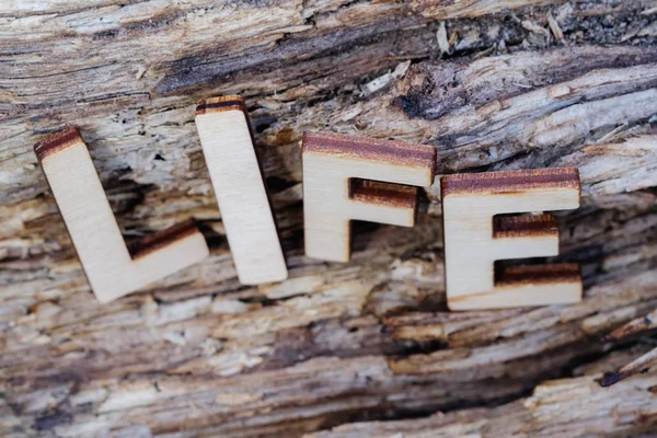 Słowo Życia Napisane Litery Drewna Tekst Stare Drewniane Tła Koncepcja — Zdjęcie stockowe