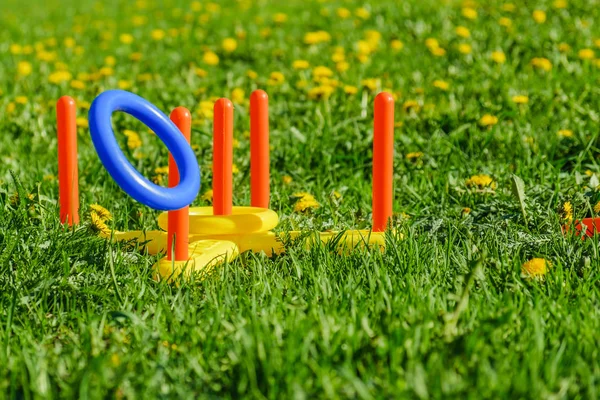 Ring throw summer game on a green lawn in the sun made of plastic