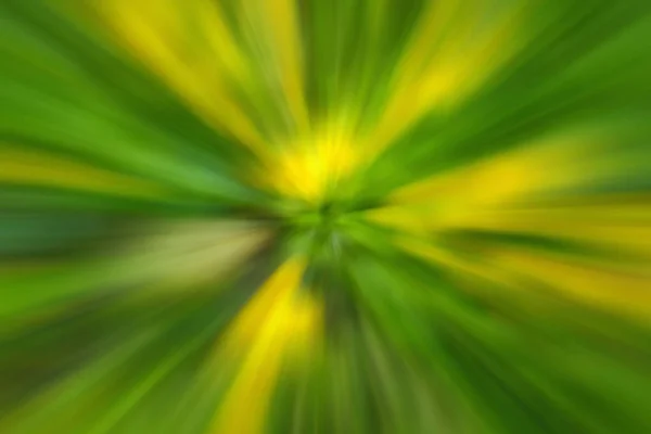 田舎屋外でツリーのツリーの背景色の黄色の抽象的な緑花タンポポの花 Blured 運動を拡大します ズーム アウトによって作成されました — ストック写真
