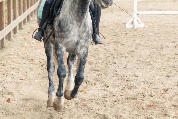 Imparare Equitazione Istruttore Insegna Teen Sport Equestre — Foto Stock