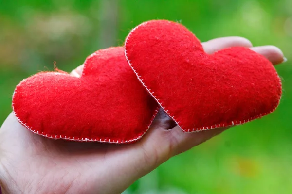 Рука Тримає Два Червоних Серця Траві Парку Щасливий Любов День — стокове фото