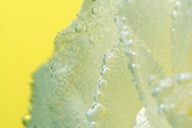 Beyaz gül yaprakları damla yellowbackground üzerinde izole kapatmak kadar su ile.