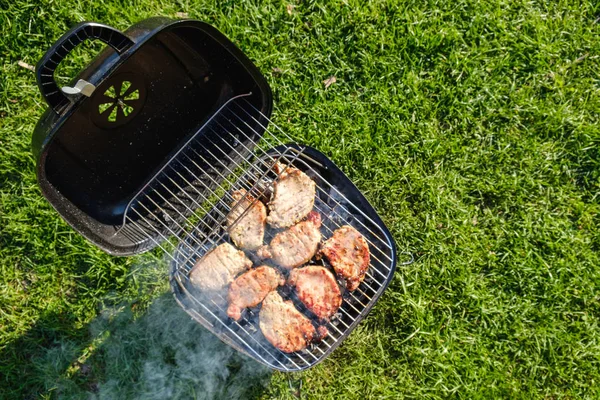 Barbecue Grill Różnego Rodzaju Mięsa Umieszczone Trawniku Widok Góry Powyżej — Zdjęcie stockowe