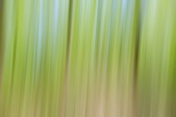 Ambiente Mundial Árvore Verde Dia Textura Conceito Gradiente Abstrato Árvores — Fotografia de Stock