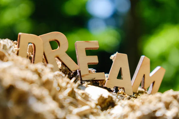Wooden letters spelling out the word dream on nature background. Inspirational and motivational concept.