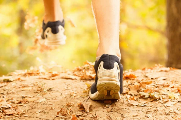 Muscular calves of a fit male jogger training for cross country forest trail race in nature park.