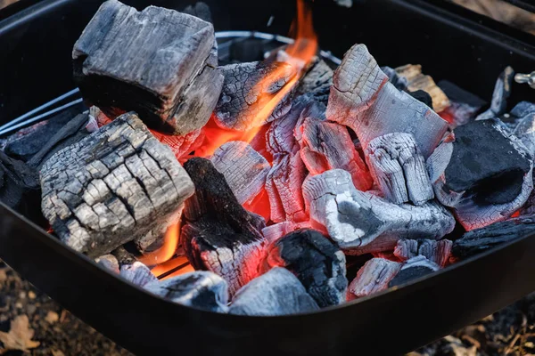 Räucherei Steht Auf Dem Rasen Einem Sommergarten Der Natur Fischräuchern — Stockfoto