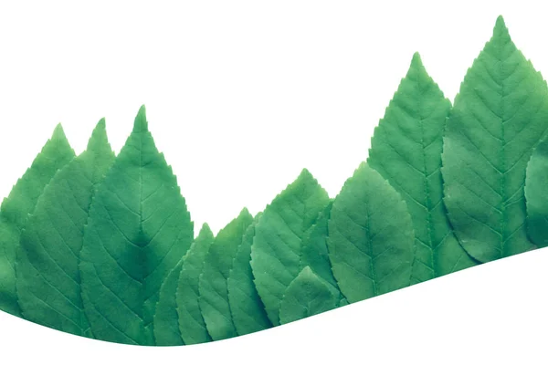 Lesní Aleji Zelené Listy Světlé Pozadí Koncept Zanedbatelné Plochá Laických — Stock fotografie