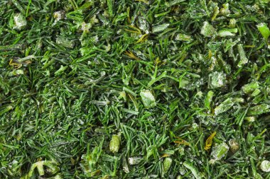 Dondurulmuş kesme taze dereotu closeup arka plan olarak