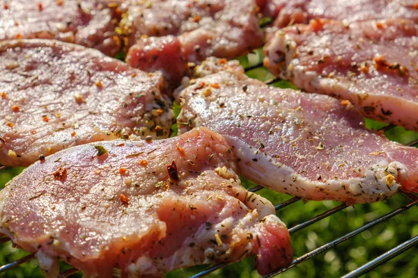 Çiğ et ızgara çimenlerin üzerinde yerleştirilir. Barbekü, ızgara ve gıda kavramı