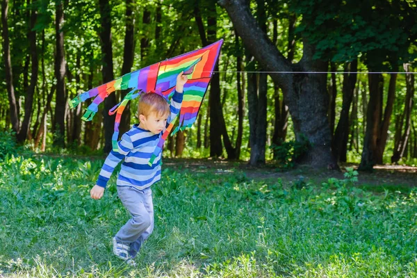 Niño Con Una Cometa Corriendo Por Césped Bosque Verano Naturaleza — Foto de Stock