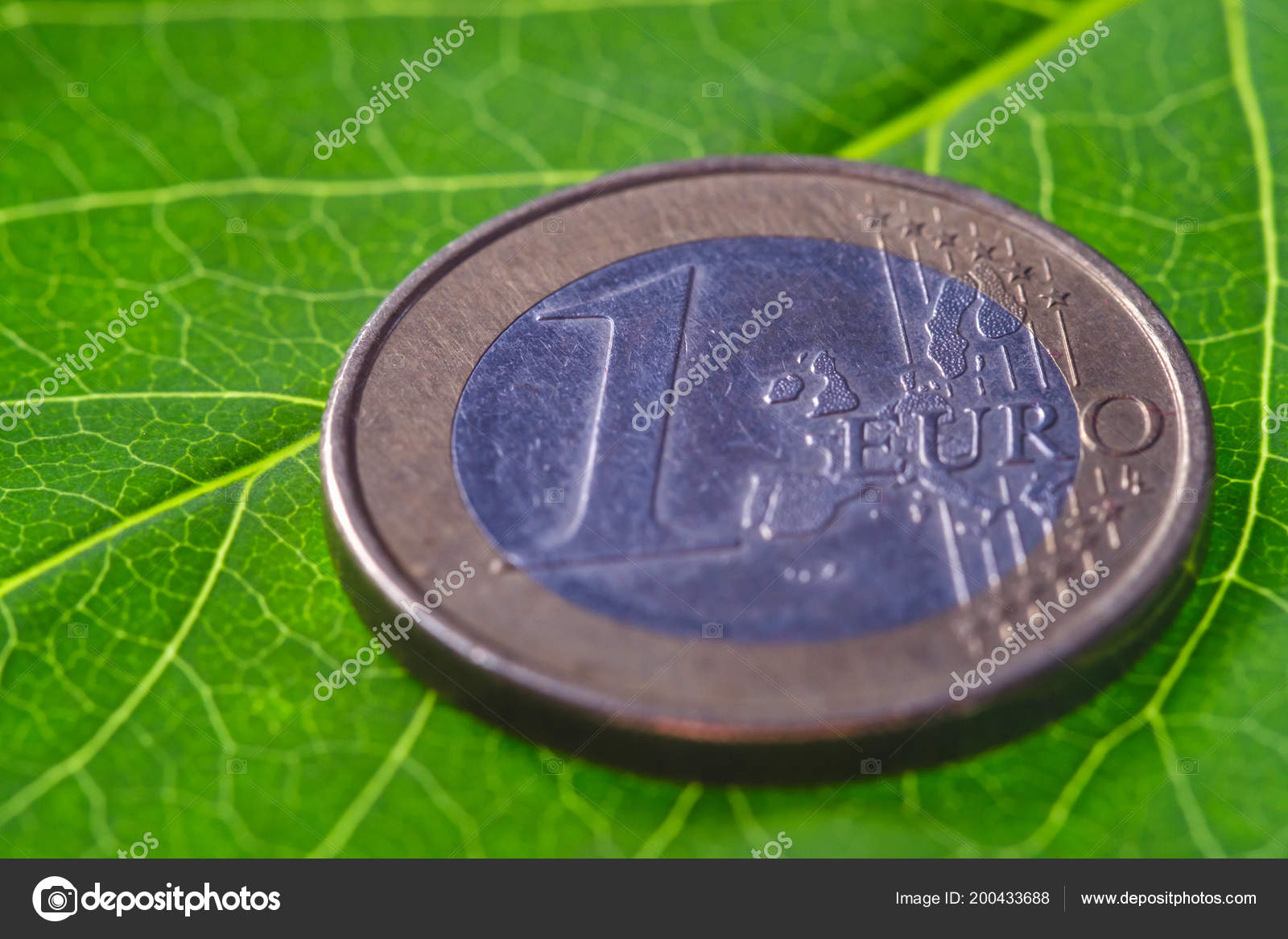 Golden Euro Coins Young Plant Money Growth Concept Stock - 