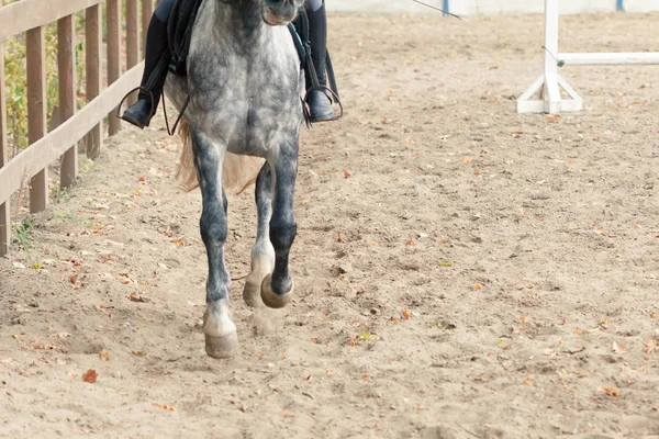 Aprender Andar Cavalo Instrutor Ensina Adolescente Esporte Equestre — Fotografia de Stock