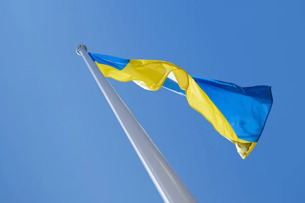 Ukrainian Flag Wind Background Blue Sky — Stock Photo, Image