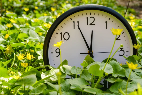 Der Tag Beginnt Uhr Auf Grünem Gras Mit Blumen Auf — Stockfoto