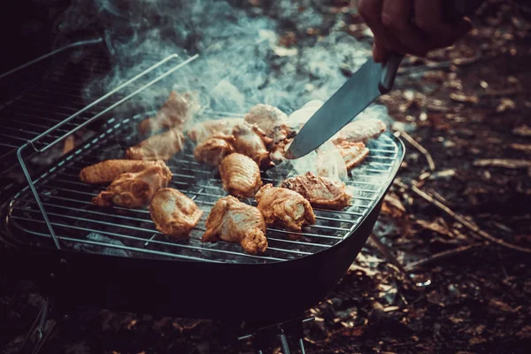 Smokehouse Dresse Sur Herbe Dans Jardin Été Dans Nature Fumer — Photo