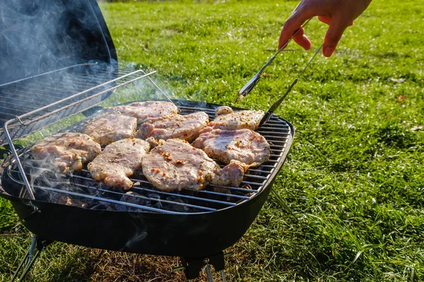 Pohled Shora Čerstvého Masa Zeleniny Grilu Trávě Koncept Grilování Gril — Stock fotografie