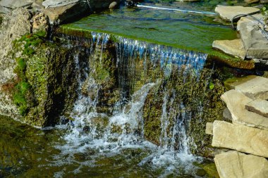 Havuz şelale peyzaj güzel peyzaj tasarımı