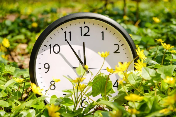 Der Tag Beginnt Uhr Auf Grünem Gras Mit Blumen Auf — Stockfoto