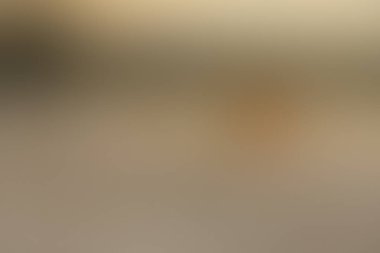 Yumuşak yumuşak duvar kağıdı soyut kopya alanı ile bulanıklık degrade arka plan, kahverengi, bronz, pirinç, gri, bakır,