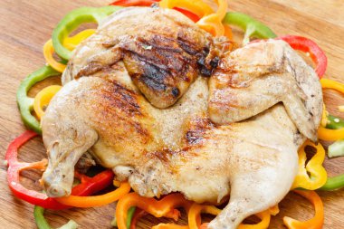 Dolmalık biber renkli bir arka plan üzerinde ızgara tavuk kabuklu