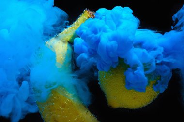 Siyah zemin üzerinde izole edilmiş bir muz. Tropik meyve. Düz yatış, üst görünüm