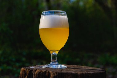 İki bardak soğuk bira doğa ağaç parkı arka planda orman üzerinde