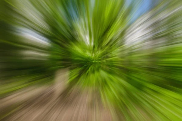 Abstrakte Grüne Hintergrund Von Baum Der Landschaft Freien Zoom Geschwindigkeit — Stockfoto