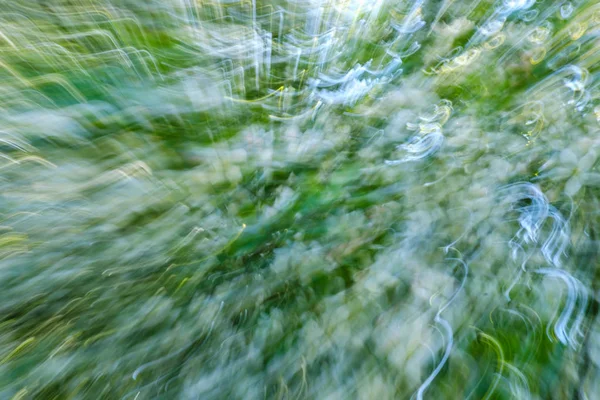 Astratto Fiore Verde Fioritura Sfondo Albero Albero Campagna All Aperto — Foto Stock