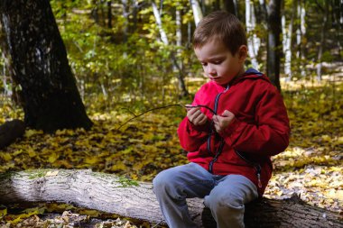 Mutlu 4 yaşında çocuk çocuk ve sonbahar bir parkta. Çocuk sonbahar yaprakları oynarken eğlenceli.
