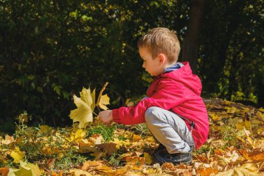 Mutlu 4 yaşında çocuk çocuk ve sonbahar bir parkta. Çocuk sonbahar yaprakları oynarken eğlenceli.