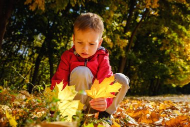 Mutlu 4 yaşında çocuk çocuk ve sonbahar bir parkta. Çocuk sonbahar yaprakları oynarken eğlenceli.