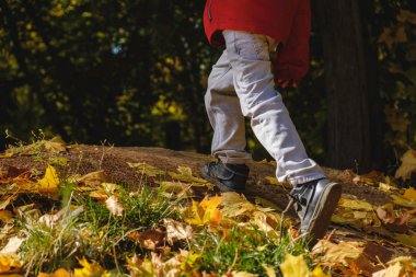 Mutlu 4 yaşında çocuk çocuk ve sonbahar bir parkta. Çocuk sonbahar yaprakları oynarken eğlenceli.