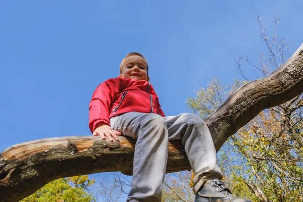 Ευτυχής Ετών Παιδί Αγόρι Και Φθινόπωρο Ένα Πάρκο Παιδί Έχει — Φωτογραφία Αρχείου