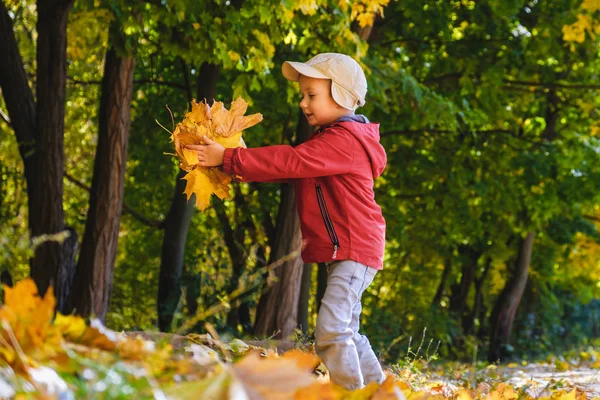 Mutlu 4 yaşında çocuk çocuk ve sonbahar bir parkta. Çocuk sonbahar yaprakları oynarken eğlenceli.