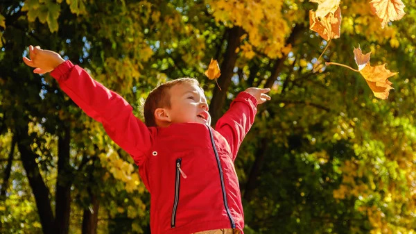 Mutlu 4 yaşında çocuk çocuk ve sonbahar bir parkta. Çocuk sonbahar yaprakları oynarken eğlenceli.