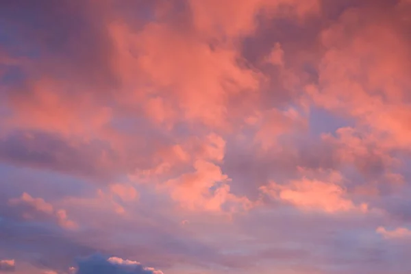 Schöner Vanillehimmel Violett Und Rosa Ton Wenn Der Sonnenaufgang Über — Stockfoto