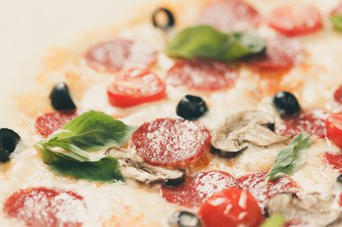 Makro manzaralı mozzarella, salam, mantar ve domates soslu taze pizza.