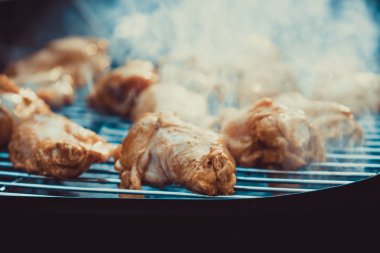 Keşhanede eşek muhabbeti kol doğada bir yaz bahçesinde çimenlerin üzerinde duruyor. Aile, lezzetli yemek için balık evde sigara.