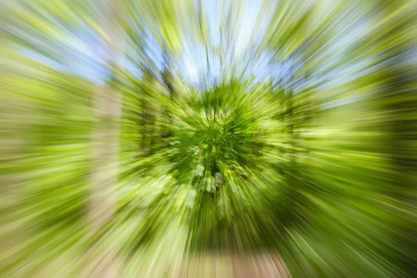 田舎屋外でツリーの抽象的な緑の背景 ズーム速度 Blured モーション ズーム アウトによって作成されました — ストック写真