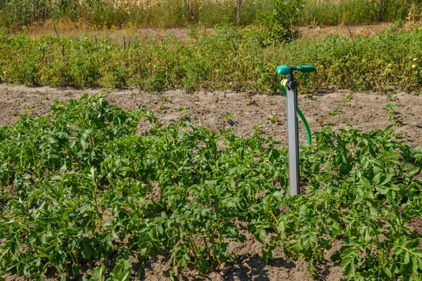 Portable garden plastic pipe system with a mounted shower sprayer head