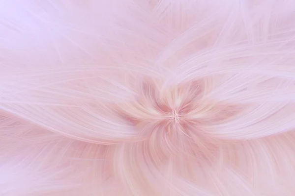 flame fractal background beige prominence art illustration. cosmos.