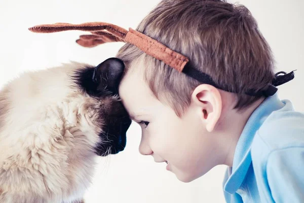 Kat Kind Balinese Samen Spelen Kind Gelukkig Leuke Vriendschap — Stockfoto