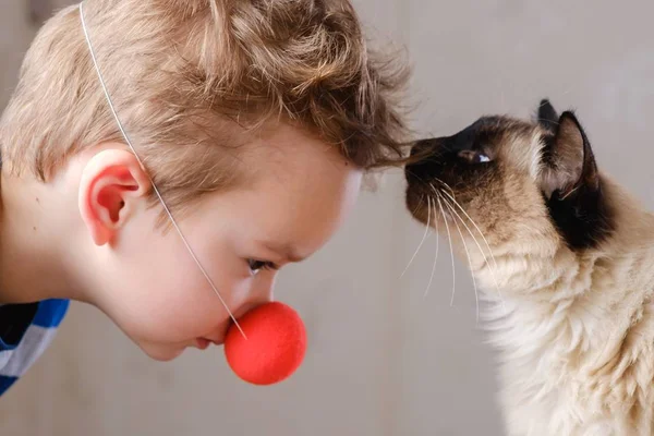 Kat Kind Balinese Samen Spelen Kind Gelukkig Huisdier — Stockfoto