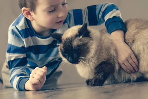 Kat Kind Balinese Samen Spelen Kind Gelukkig Dierlijke Genegenheid — Stockfoto