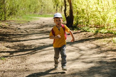 sırt çantası çocuk yaz hiking yeşil açık mutlu. çayır.
