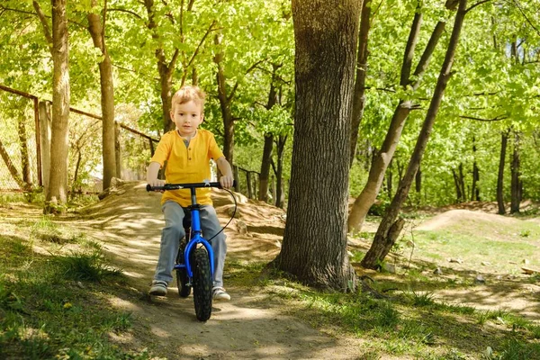 Ποδήλατο Παιδί Καλοκαίρι Ποδηλάτων Παιδί Αγόρι Πάρκο Λίγο — Φωτογραφία Αρχείου
