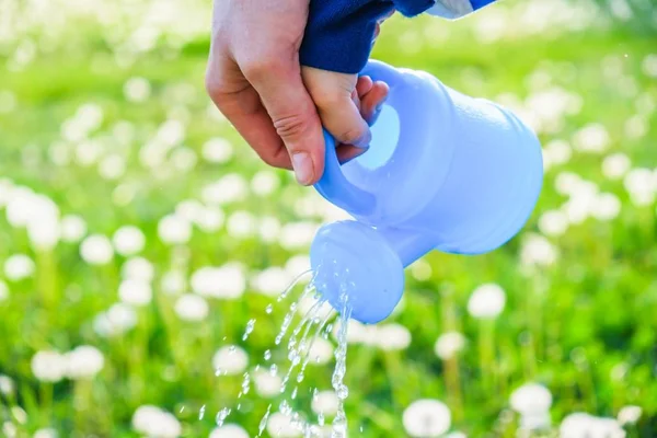 Jardinagem Primavera Verde Pode Grama Água Natureza Gota Jardim — Fotografia de Stock