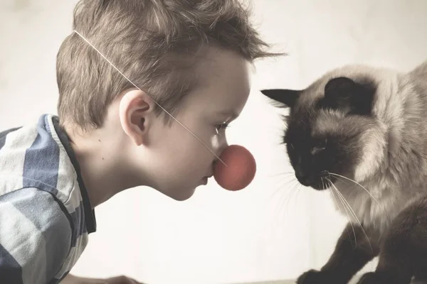 Kat Kind Balinese Samen Spelen Kind Gelukkig Binnenlandse — Stockfoto