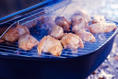 Keşhanede eşek muhabbeti kol doğada bir yaz bahçesinde çimenlerin üzerinde duruyor. Aile, lezzetli yemek için balık evde sigara.